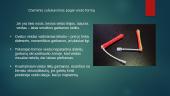 Cheminio garbanojimo ypatybės 6 puslapis