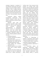 Besimokančios organizacijos aplinka 7 puslapis