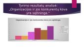 Korupcija Lietuvos organizacijose 11 puslapis