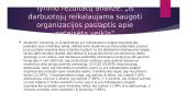 Korupcija Lietuvos organizacijose 14 puslapis