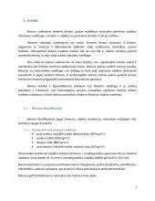 Betono sudėties parinkimo principai 3 puslapis