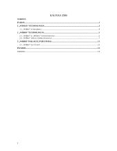 Bevielis plačiajuostis ryšys: WiBro 2 puslapis