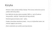 Jonas Mačiulis - Maironis. Kūryba ir biografija 6 puslapis