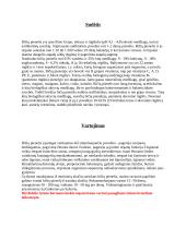 Bičių pienelis 2 puslapis