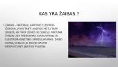Žaibų pristatymas 2 puslapis