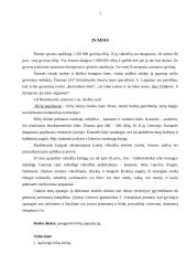 Bičių populiacija 2 puslapis