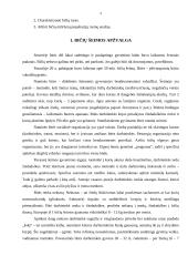 Bičių populiacija 3 puslapis