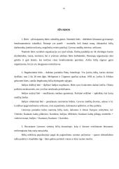 Bičių populiacija 9 puslapis