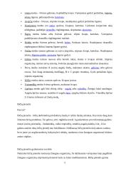 Bičių produktai ir jų nauda 5 puslapis