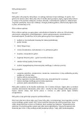 Bičių produktai ir jų nauda 7 puslapis