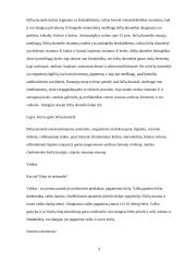 Bičių produktai ir jų nauda 9 puslapis