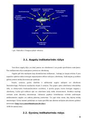Bioindikacijos samprata, raida, ryšiai su kitais mokslais 6 puslapis
