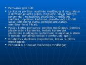 Biologinis oro valymas 4 puslapis