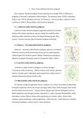 Biosferos poligonai 5 puslapis