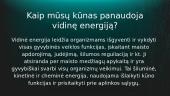 Kūnų vidinės energijos fizikinė samprata 8 puslapis