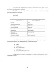 Biurokratizmo teorija 4 puslapis