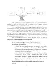 Biurokratizmo teorija 5 puslapis