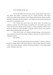 Biurokratizmo teorija 7 puslapis