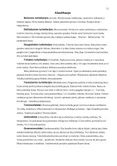 Blakstienuotųjų kirmėlių (turbellaria) anatomija 11 puslapis