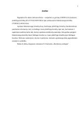 Blakstienuotųjų kirmėlių (turbellaria) anatomija 3 puslapis