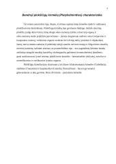 Blakstienuotųjų kirmėlių (turbellaria) anatomija 4 puslapis