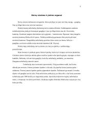 Blakstienuotųjų kirmėlių (turbellaria) anatomija 6 puslapis