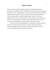 Blakstienuotųjų kirmėlių (turbellaria) anatomija 7 puslapis