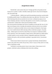 Blakstienuotųjų kirmėlių (turbellaria) anatomija 8 puslapis