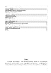 BMI aparatūros saugos užtikrinimas 2 puslapis