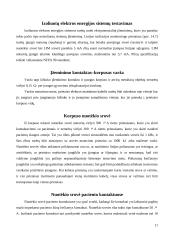 BMI aparatūros saugos užtikrinimas 12 puslapis