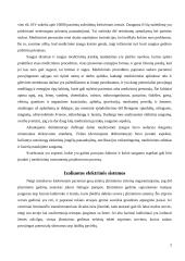 BMI aparatūros saugos užtikrinimas 3 puslapis