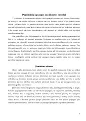 BMI aparatūros saugos užtikrinimas 6 puslapis