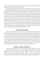 BMI aparatūros saugos užtikrinimas 10 puslapis