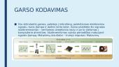 Informacijos kodavimas kompiuteryje (skaidrės) 9 puslapis