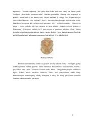 Botičelis ir mitologija 8 puslapis