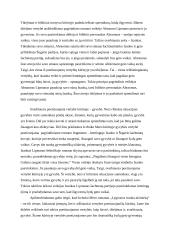 Kokios vertybės poetizuojamos I.Mero romane „Lygiosios trunka akimirką“?       2 puslapis