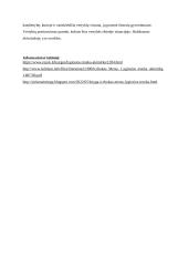 Kokios vertybės poetizuojamos I.Mero romane „Lygiosios trunka akimirką“?       3 puslapis