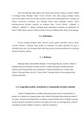 Boulingo klubų teikiamų paslaugų analizė Šiauliuose 13 puslapis