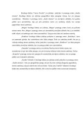 Boulingo klubų teikiamų paslaugų analizė Šiauliuose 14 puslapis