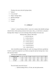 Boulingo klubų teikiamų paslaugų analizė Šiauliuose 4 puslapis