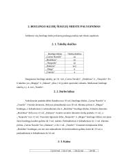 Boulingo klubų teikiamų paslaugų analizė Šiauliuose 10 puslapis