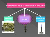 Gamtiniai angliavandenilių šaltiniai (skaidrės) 2 puslapis