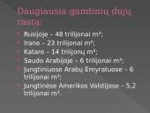 Gamtiniai angliavandenilių šaltiniai (skaidrės) 12 puslapis