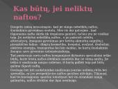 Gamtiniai angliavandenilių šaltiniai (skaidrės) 8 puslapis