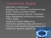 Gamtiniai angliavandenilių šaltiniai (skaidrės) 9 puslapis