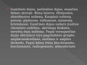 Gamtiniai angliavandenilių šaltiniai (skaidrės) 10 puslapis