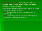 Metalų korozija ir sauga 5 puslapis