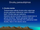 Druskos. Skaidrės 16 puslapis