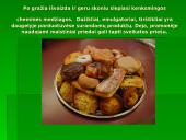 Maisto chemija – pavojinga, bet neišvengiama 2 puslapis