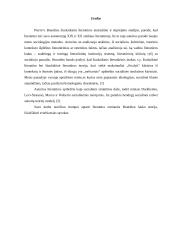 Bourdieu literatūros supratimas 2 puslapis